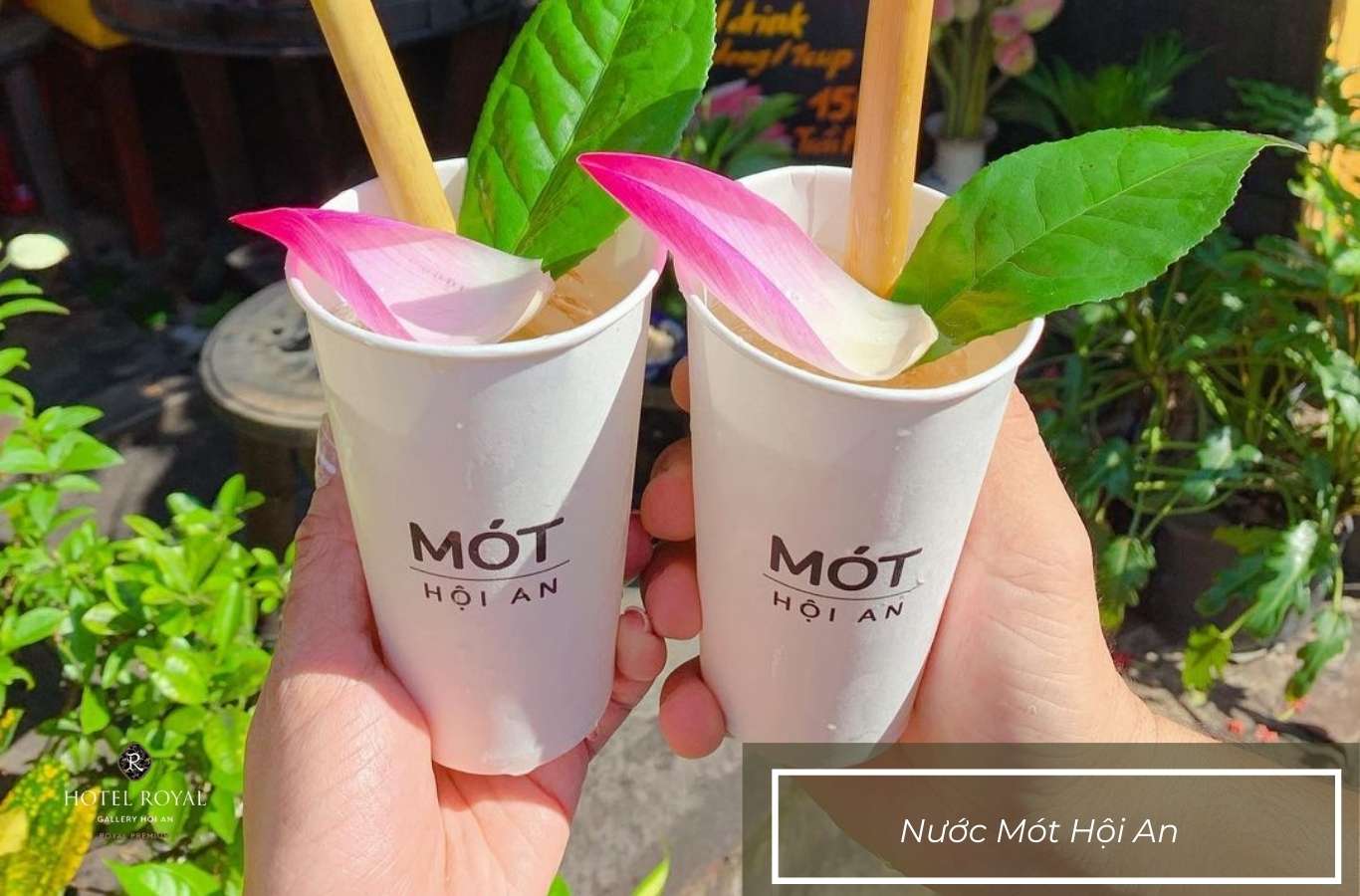 Nước Mót là thức uống thảo mộc giải nhiệt được yêu thích nhất tại Hội An.