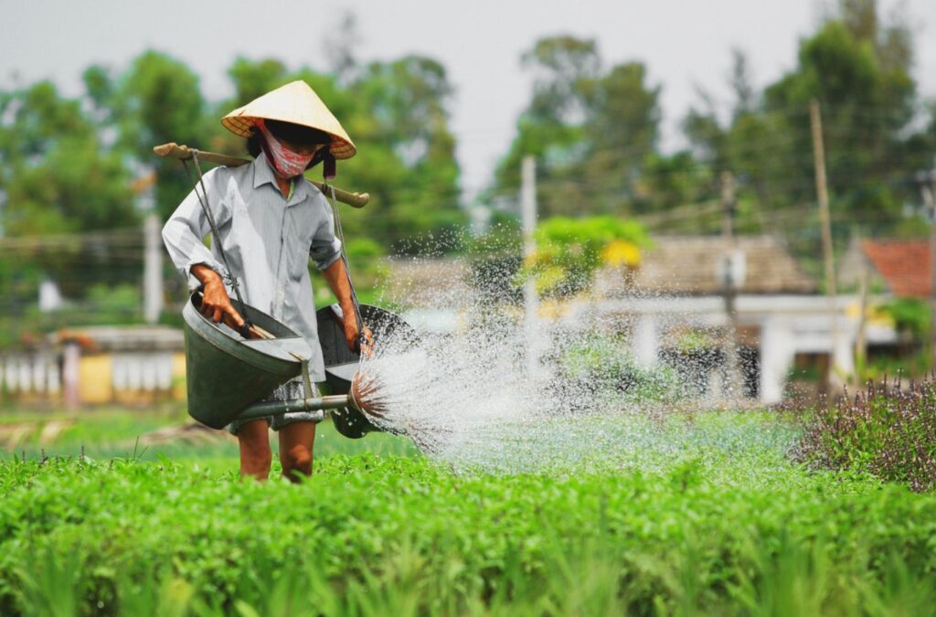 Travel Guide to Hoi An