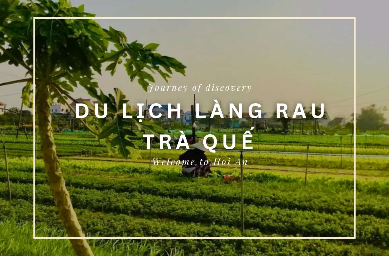 Làng rau Trà Quế