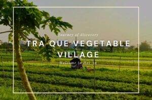 Tra Que Vegetable Village