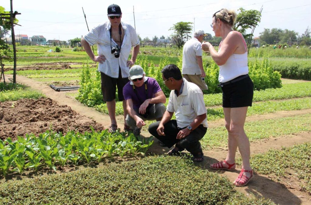 Cycling Tra Que’s scenic paths offers a peaceful rural Vietnam experience.
