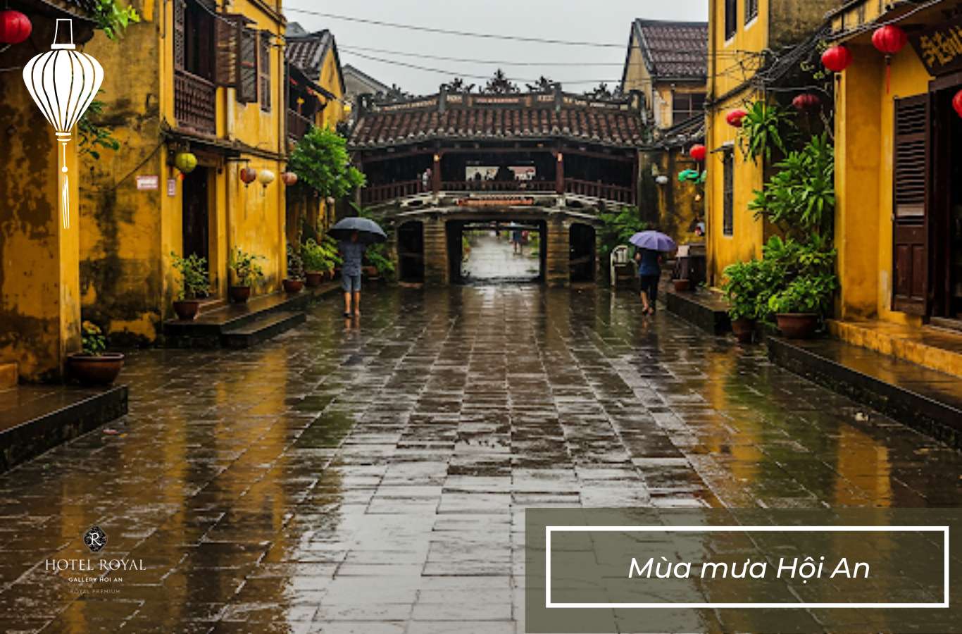Mùa mưa Hội An