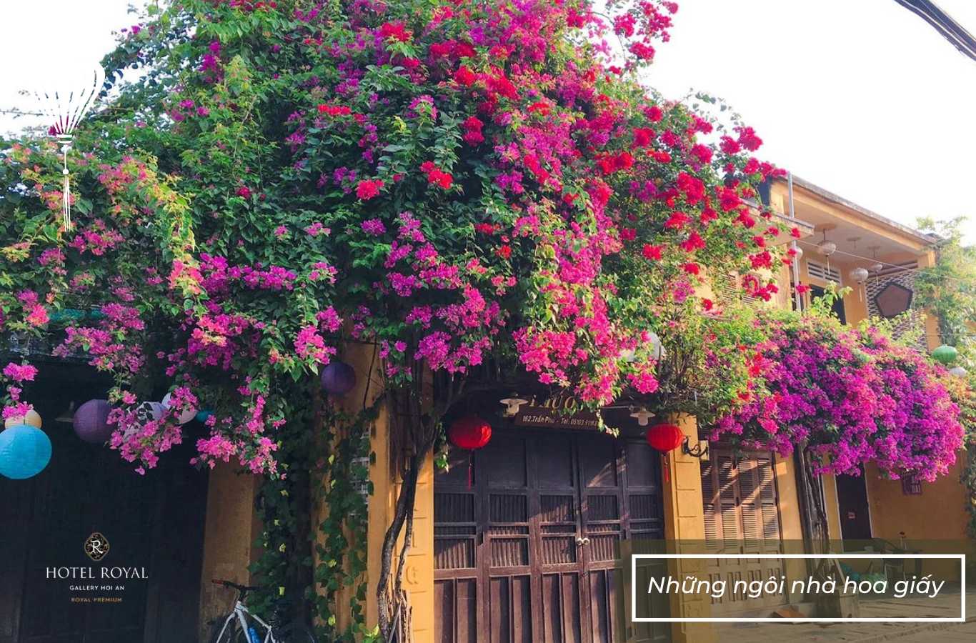 Check-in tại những ngôi nhà hoa giấy đẹp lung linh sắc màu