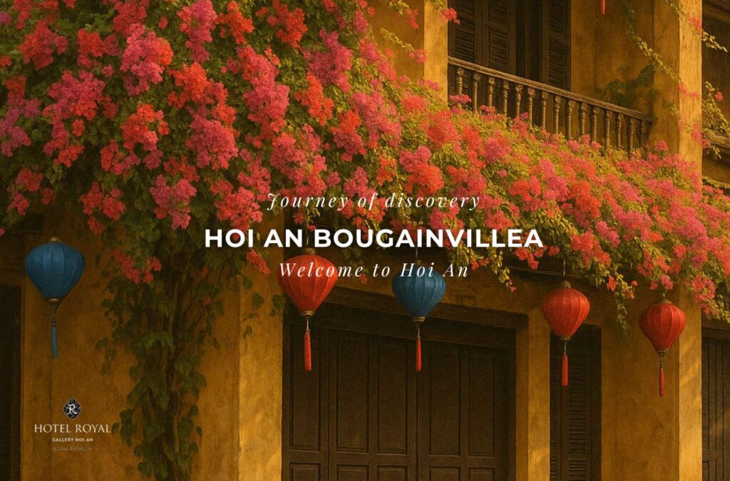 Hoi An Bougainvillea