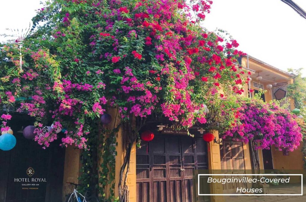 Check in at the vibrant and colorful bougainvillea-covered houses