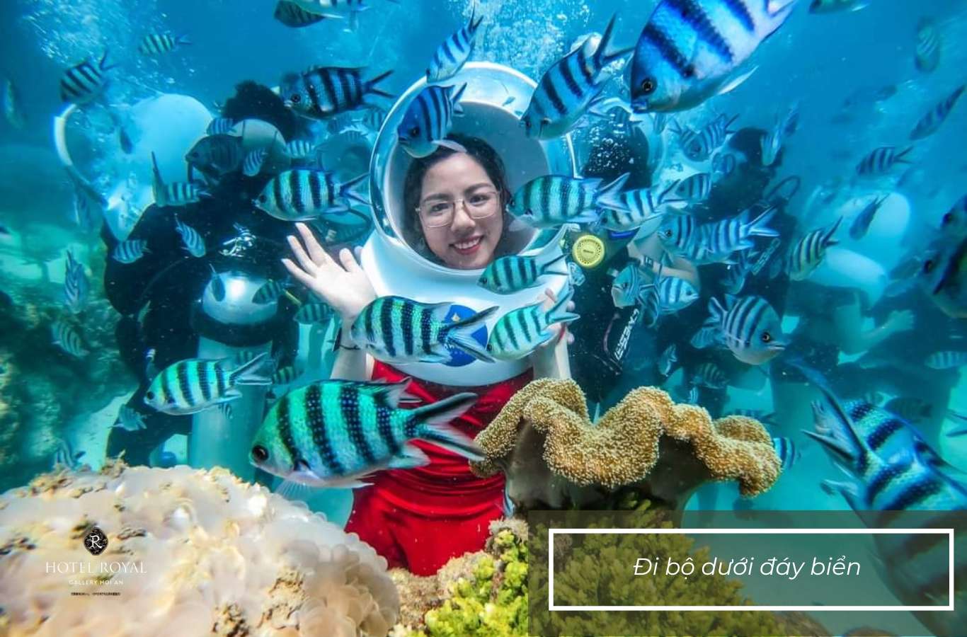 Try sea trekking walking on the ocean floor