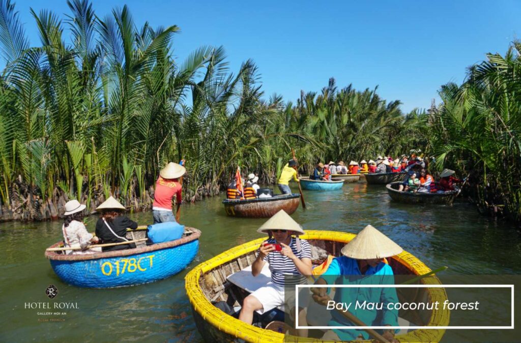 Experience basket boat rowing at Bay Mau coconut forest